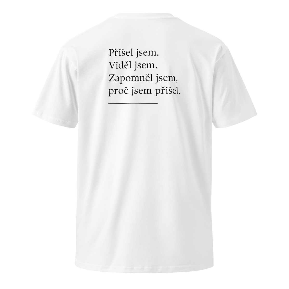 Pánské tričko - Přišel jsem viděl jsem zapomněl jsem proč jsem přišel